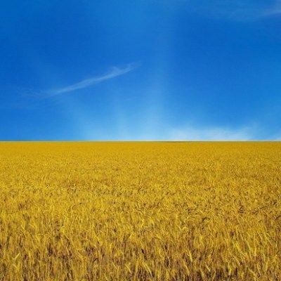 Пробуждение, мир и процветание на пороге Украины. Первая женщина-президент.